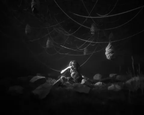 2_-5200239.webp 2_-5200239.webp