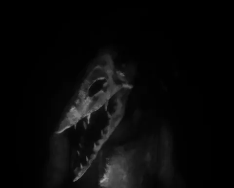 4_-5200239.webp 4_-5200239.webp