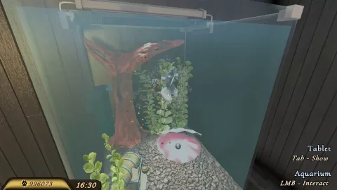 4_-5200407.webp 4_-5200407.webp